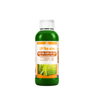 TOP PLUS - Trừ nấm phổ rộng, thấm sâu, chuyển vị và lưu dẫn mạnh