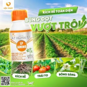 LP-AMINO