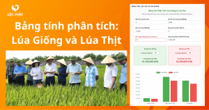 Bảng tính năng suất lúa thịt và lúa giống