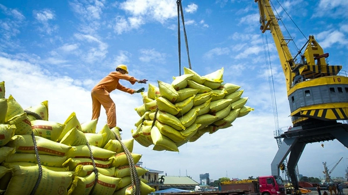 Giá lúa gạo ngày 13/04 tại Đồng bằng sông Cửu Long - Nông dân chốt giá tốt